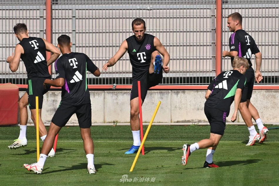 然而在最近 然而在最近